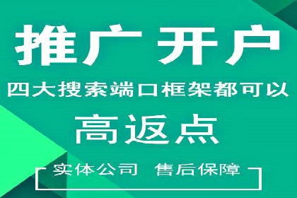 成功案例解读：SEM推广代运营策略